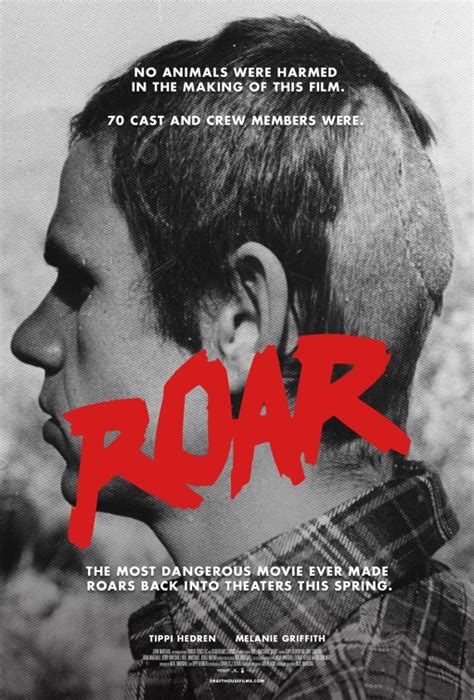 ROAR 1981 : Free Download, Borrow, and Streaming : Internet .